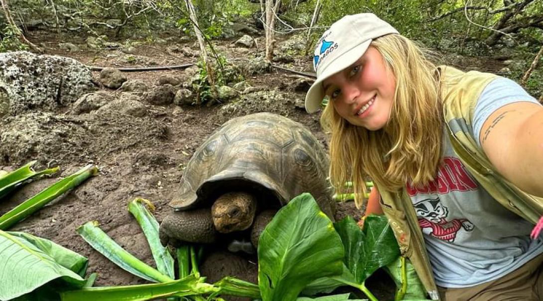 Female conservation volunteer protecting giant tortoises in Galapagos 
